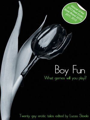 Boy Fun One - ebook